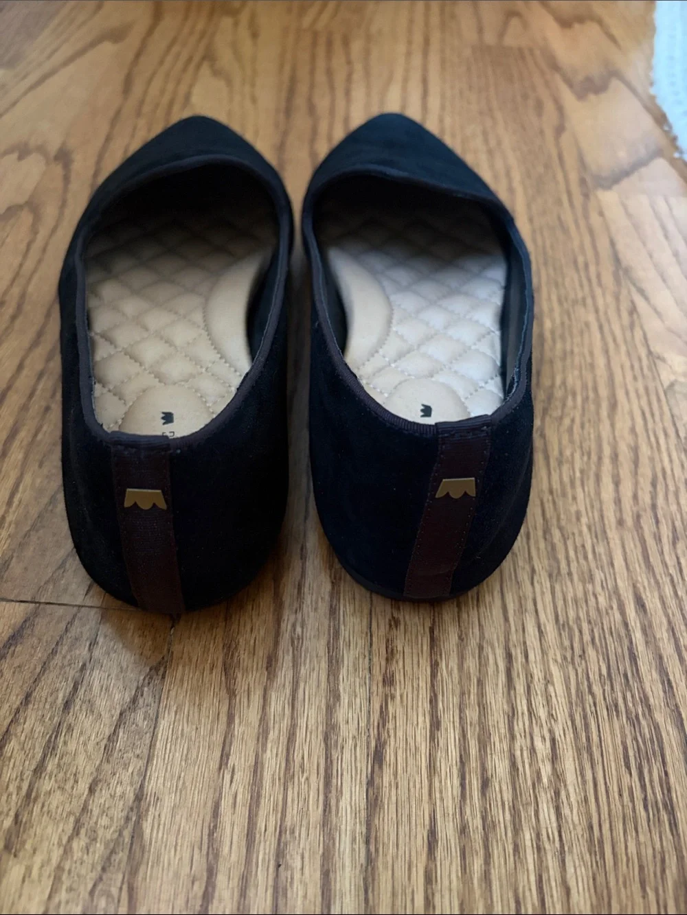 Birdies Black Velvet Pointed Toe Loafers